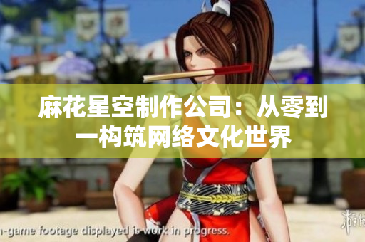 麻花星空制作公司：从零到一构筑网络文化世界