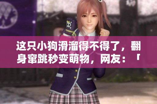 这只小狗滑溜得不得了，翻身窜跳秒变萌物，网友：「太可愛了！」