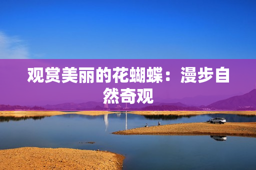 观赏美丽的花蝴蝶：漫步自然奇观