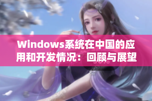 Windows系统在中国的应用和开发情况：回顾与展望