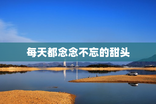 每天都念念不忘的甜头
