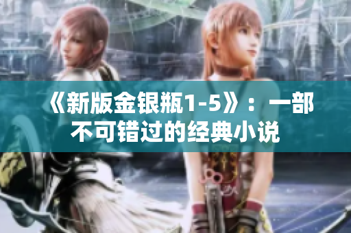 《新版金银瓶1-5》：一部不可错过的经典小说