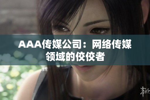 AAA传媒公司：网络传媒领域的佼佼者