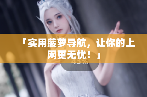 「实用菠萝导航，让你的上网更无忧！」