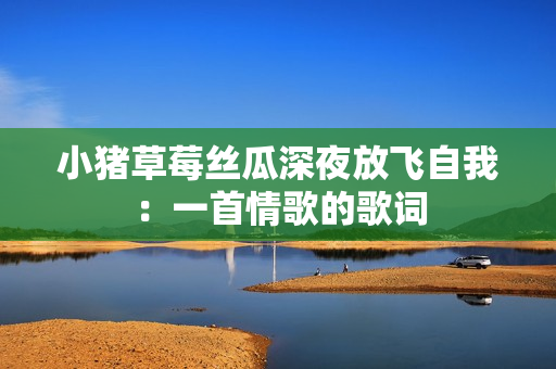 小猪草莓丝瓜深夜放飞自我：一首情歌的歌词