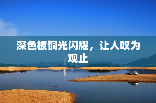 深色板铜光闪耀，让人叹为观止