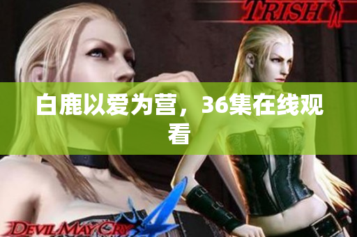 白鹿以爱为营，36集在线观看