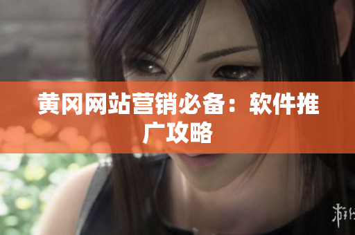 黄冈网站营销必备：软件推广攻略
