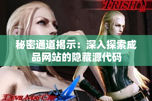 秘密通道揭示：深入探索成品网站的隐藏源代码