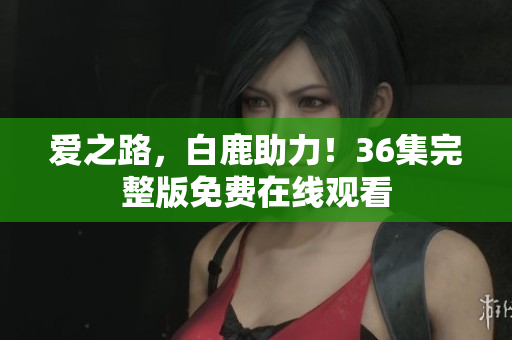 爱之路，白鹿助力！36集完整版免费在线观看