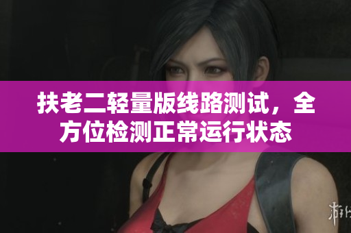 扶老二轻量版线路测试，全方位检测正常运行状态