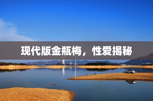 现代版金瓶梅，性爱揭秘