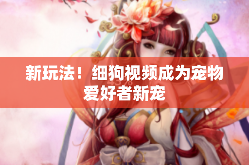 新玩法！细狗视频成为宠物爱好者新宠