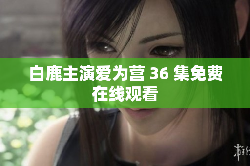 白鹿主演爱为营 36 集免费在线观看