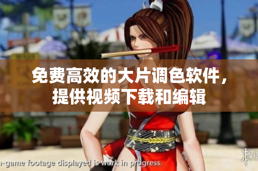 免费高效的大片调色软件，提供视频下载和编辑