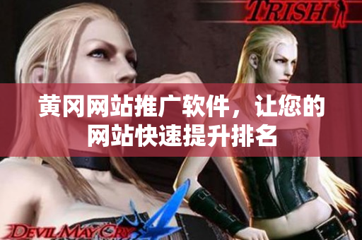 黄冈网站推广软件，让您的网站快速提升排名