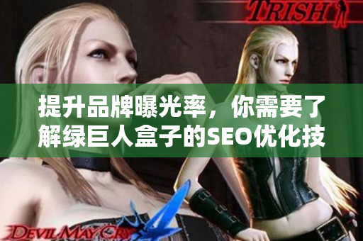 提升品牌曝光率，你需要了解绿巨人盒子的SEO优化技巧