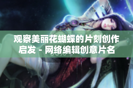 观察美丽花蝴蝶的片刻创作启发 - 网络编辑创意片名
