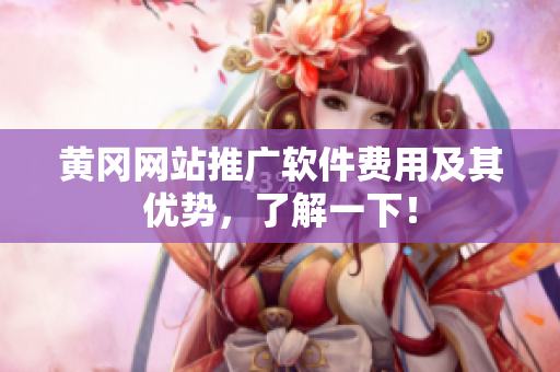 黄冈网站推广软件费用及其优势，了解一下！