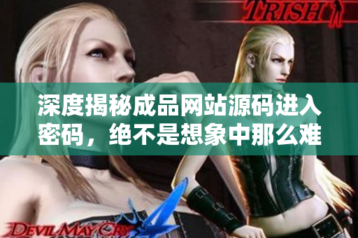 深度揭秘成品网站源码进入密码，绝不是想象中那么难