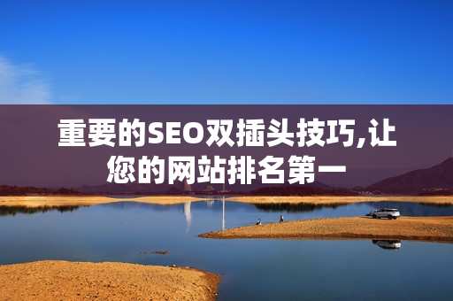 重要的SEO双插头技巧,让您的网站排名第一