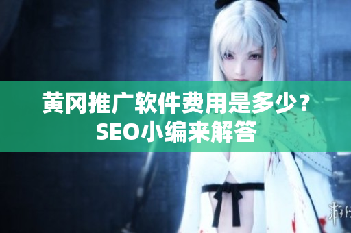 黄冈推广软件费用是多少？SEO小编来解答