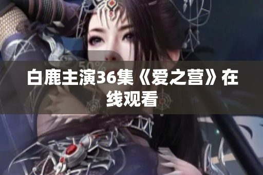 白鹿主演36集《爱之营》在线观看