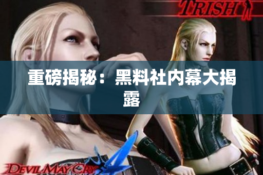 重磅揭秘：黑料社内幕大揭露