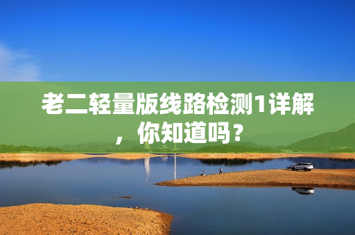 老二轻量版线路检测1详解，你知道吗？