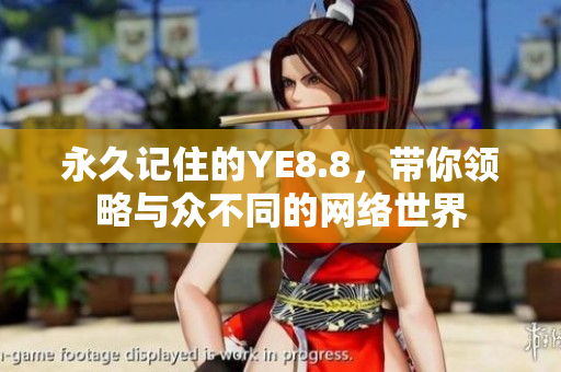 永久记住的YE8.8，带你领略与众不同的网络世界