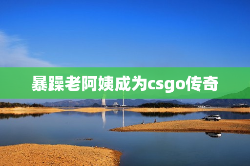 暴躁老阿姨成为csgo传奇