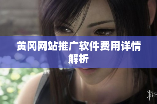黄冈网站推广软件费用详情解析