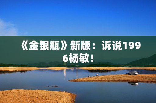 《金银瓶》新版：诉说1996杨敏！