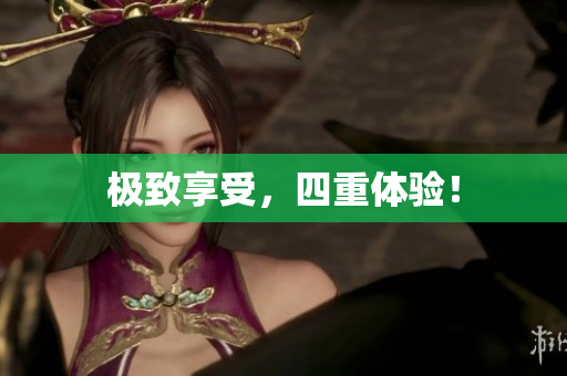 极致享受，四重体验！