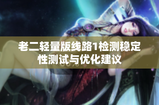 老二轻量版线路1检测稳定性测试与优化建议