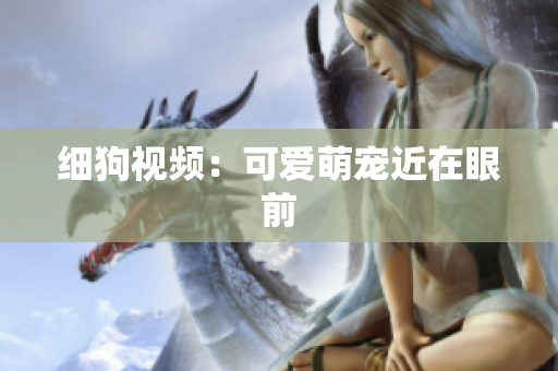细狗视频：可爱萌宠近在眼前