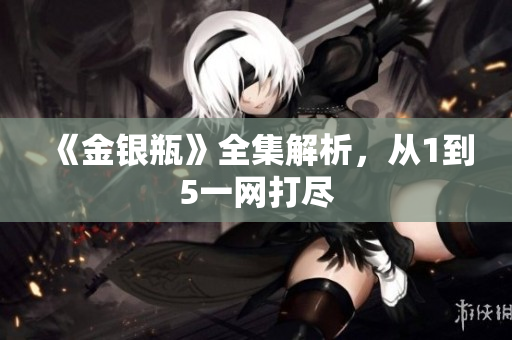 《金银瓶》全集解析，从1到5一网打尽
