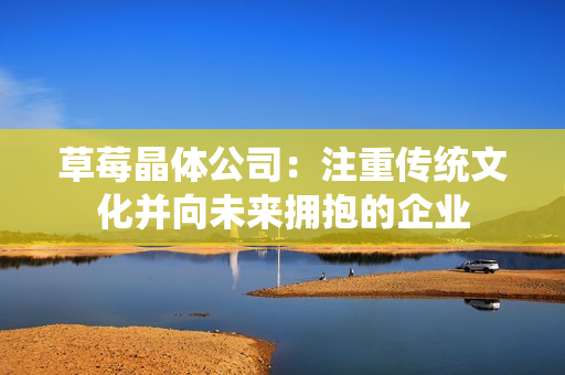 草莓晶体公司：注重传统文化并向未来拥抱的企业