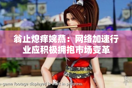 翁止熄痒婉燕：网络加速行业应积极拥抱市场变革