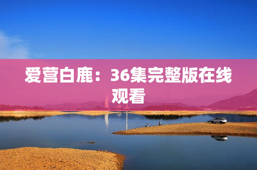 爱营白鹿：36集完整版在线观看
