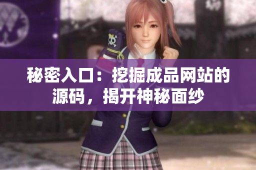 秘密入口：挖掘成品网站的源码，揭开神秘面纱