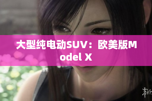 大型纯电动SUV：欧美版Model X