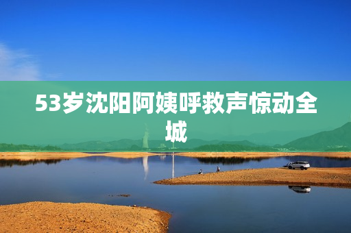 53岁沈阳阿姨呼救声惊动全城