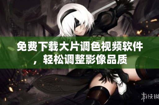 免费下载大片调色视频软件，轻松调整影像品质