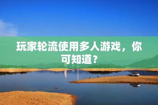 玩家轮流使用多人游戏，你可知道？