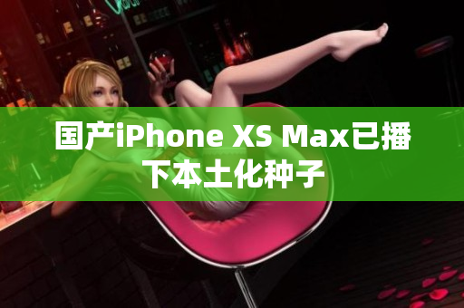国产iPhone XS Max已播下本土化种子