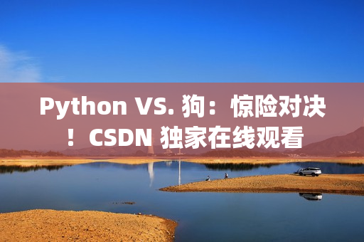 Python VS. 狗：惊险对决！CSDN 独家在线观看