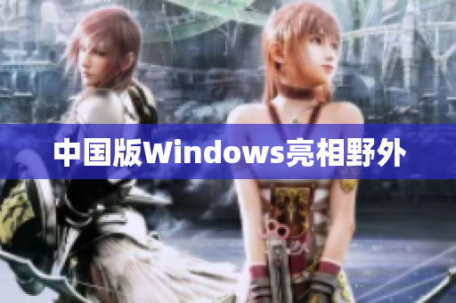 中国版Windows亮相野外