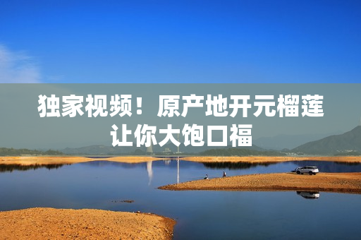 独家视频！原产地开元榴莲让你大饱口福