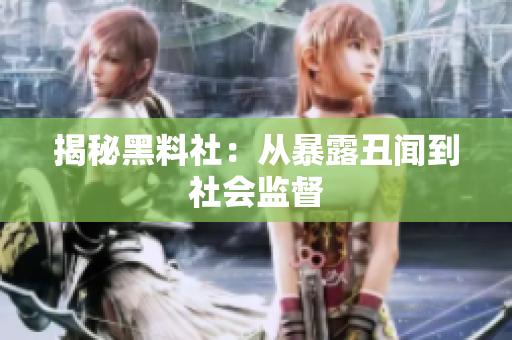 揭秘黑料社：从暴露丑闻到社会监督